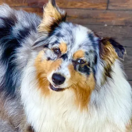 Nocleg ze śniadaniem La Piana Dal Sas 3*